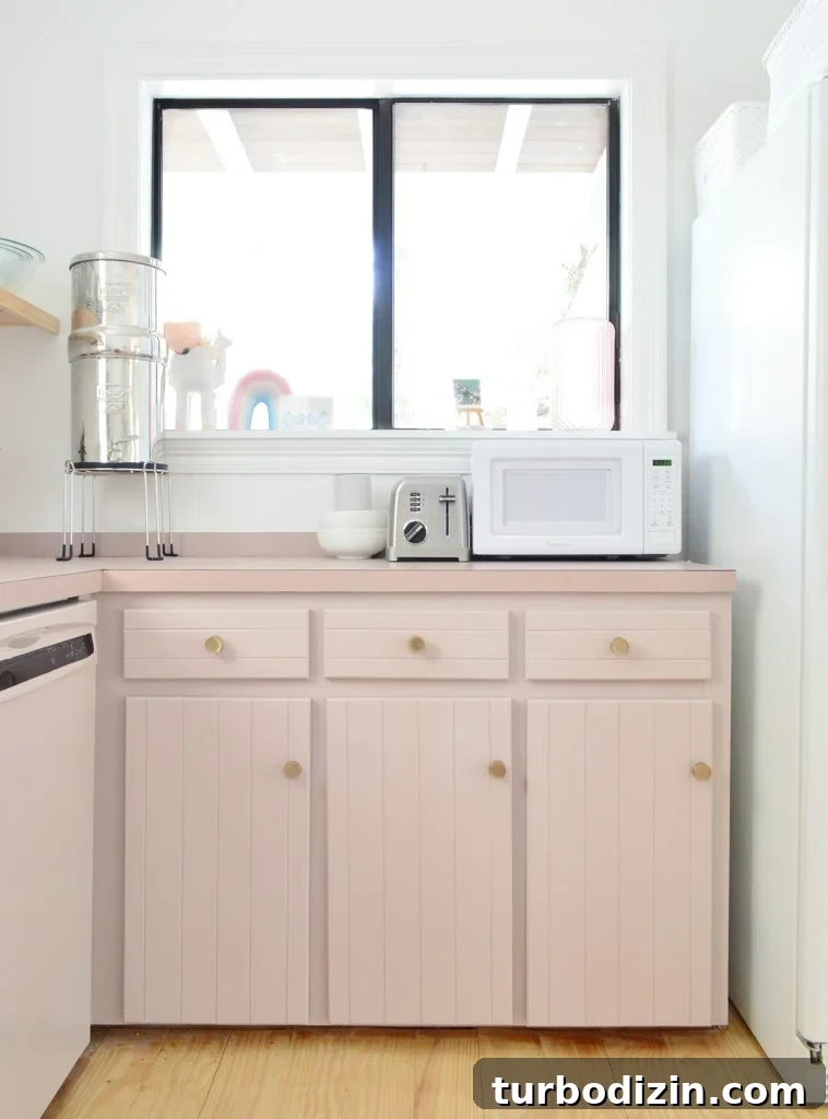 Maximize Space: Smart Organization Ideas for Small Kitchen Cabinets 16 img 95654 15