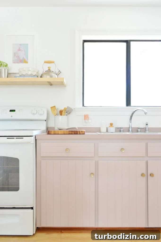 Maximize Space: Smart Organization Ideas for Small Kitchen Cabinets 5 img 95654 4