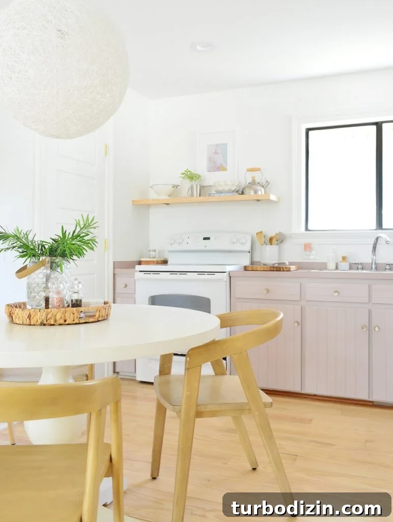 Maximize Space: Smart Organization Ideas for Small Kitchen Cabinets 7 img 95654 6