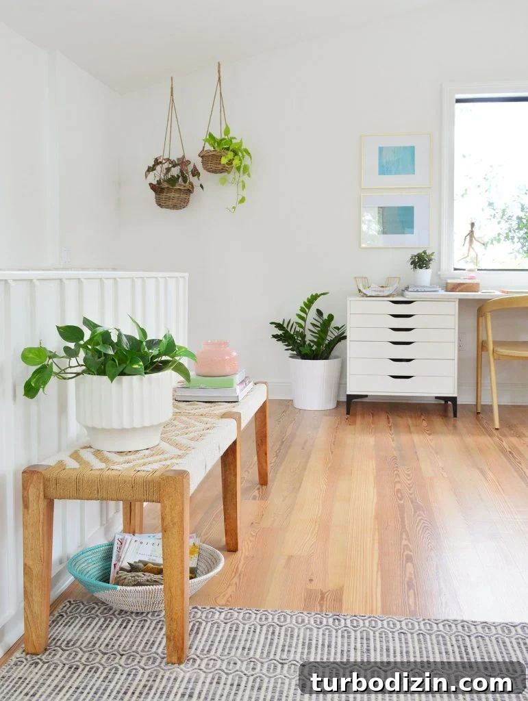 How We Hung a Massive Serena & Lily Chandelier in Our Home 12 Several Plants On Surfaces In Living Room Including Hanging