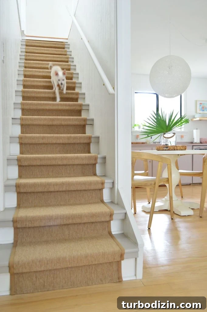 Chihuahua Dog Running Down Staircase With Sisal Runner