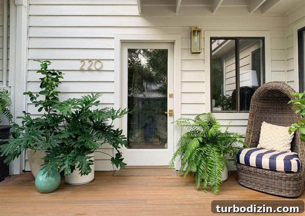 Front Porch Ceiling Paint Ideas to Refresh Your Entryway 5 Front Porch With Glass Door And Lots Of Plants