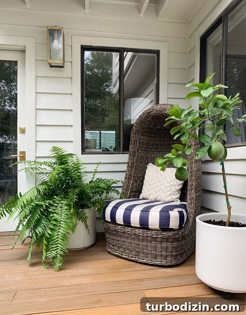 Front Porch Ceiling Paint Ideas to Refresh Your Entryway 7 Woven Egg Chair With Large Fern And Potted Lemon Tree