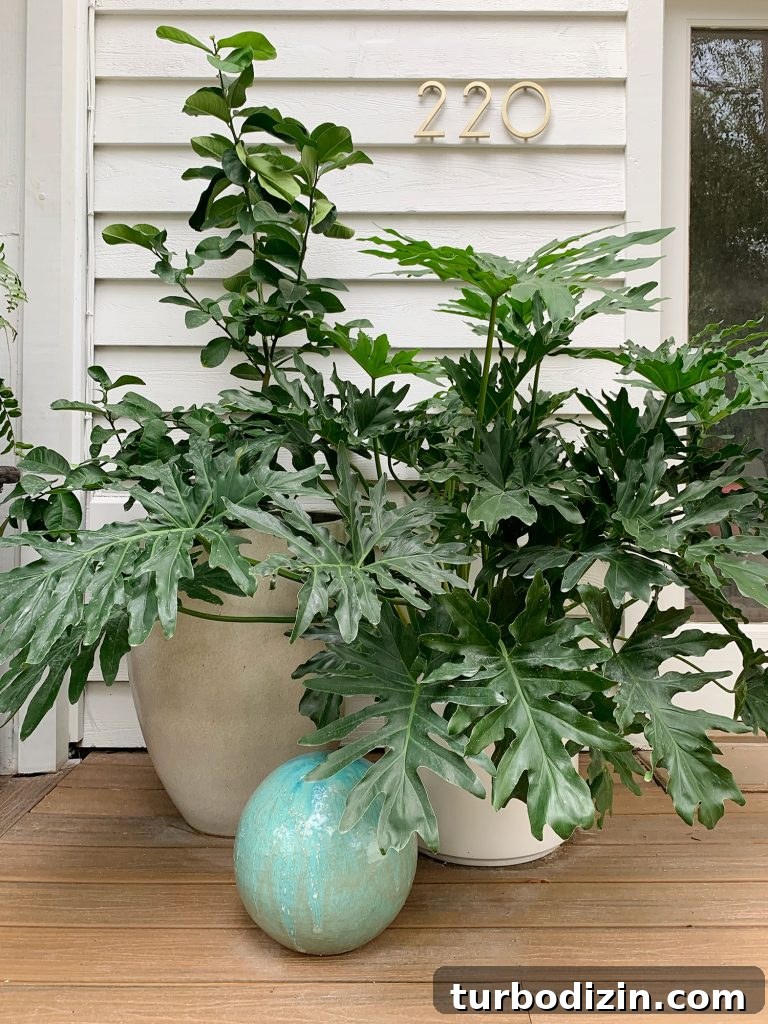 Front Porch Ceiling Paint Ideas to Refresh Your Entryway 8 Oversized Plants In Large Planters On Front Porch