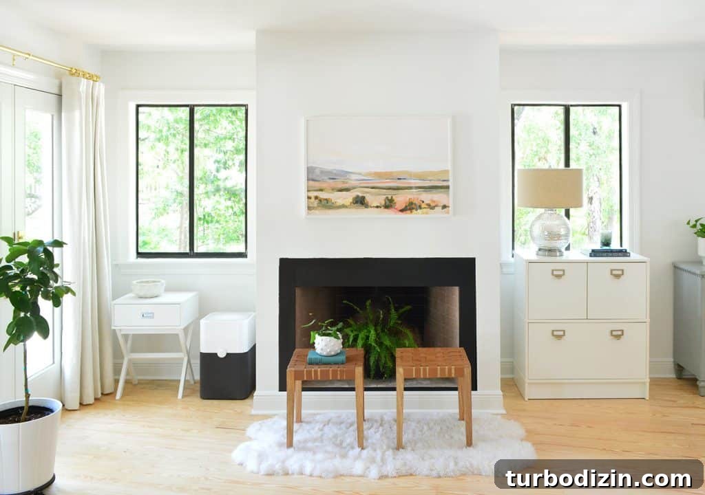 Bedroom Fireplace After Moving In With Random Objects On Either Side