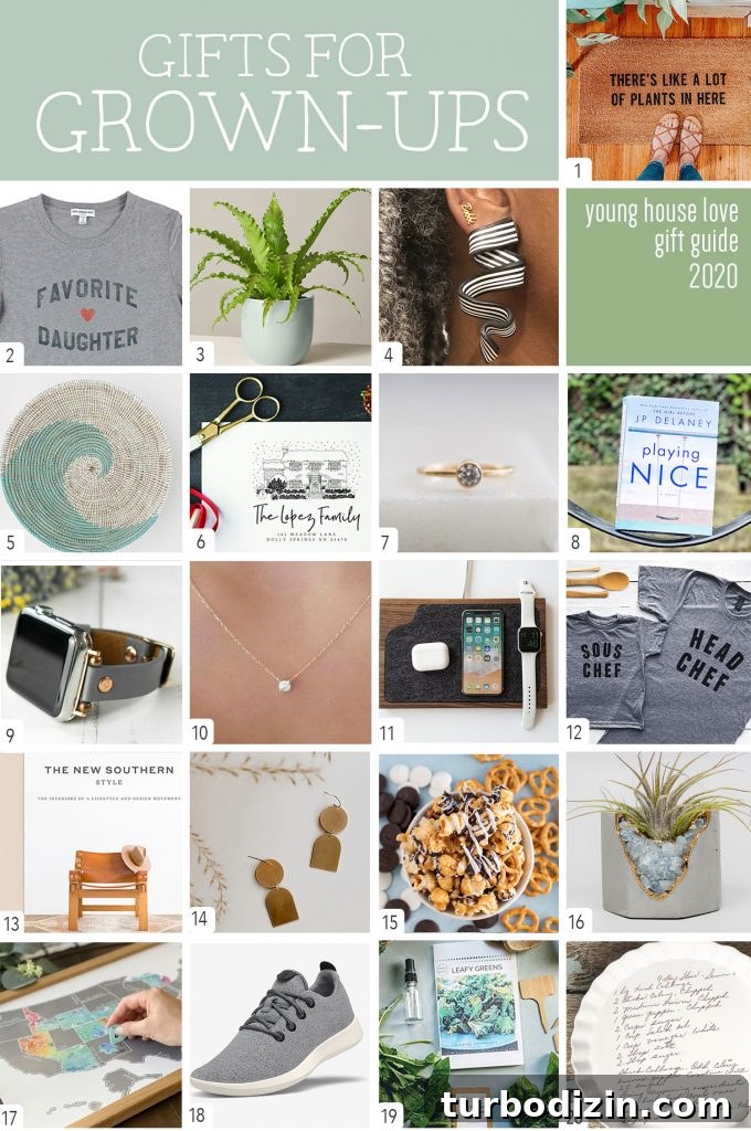 Top Holiday Gift Guides for 2020: Gifts by Interest & Budget 3 img 96158 2
