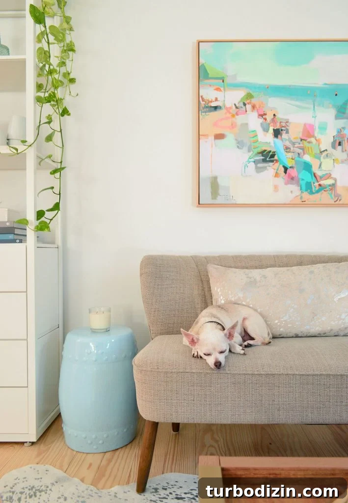 Our Kitchen and Sitting Area: Six Months of Living In 15 Chihuahua sleeping on settee in kitchen