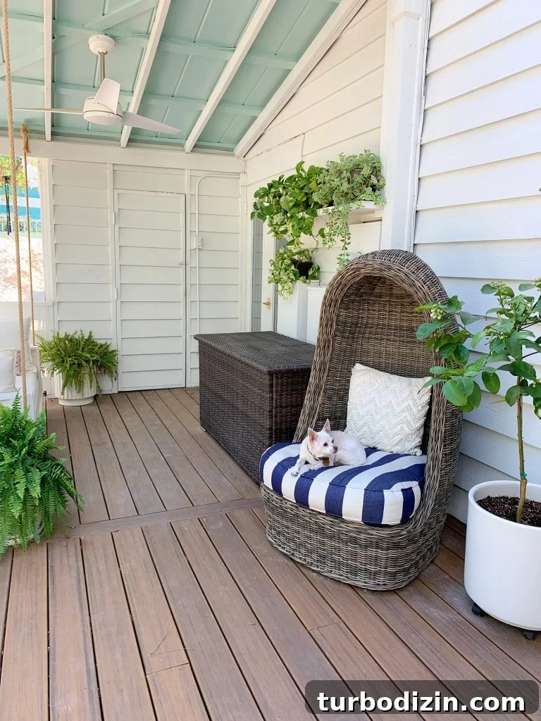 Full View Of Covered Porch With Plant Shelf And Other Potted Plants
