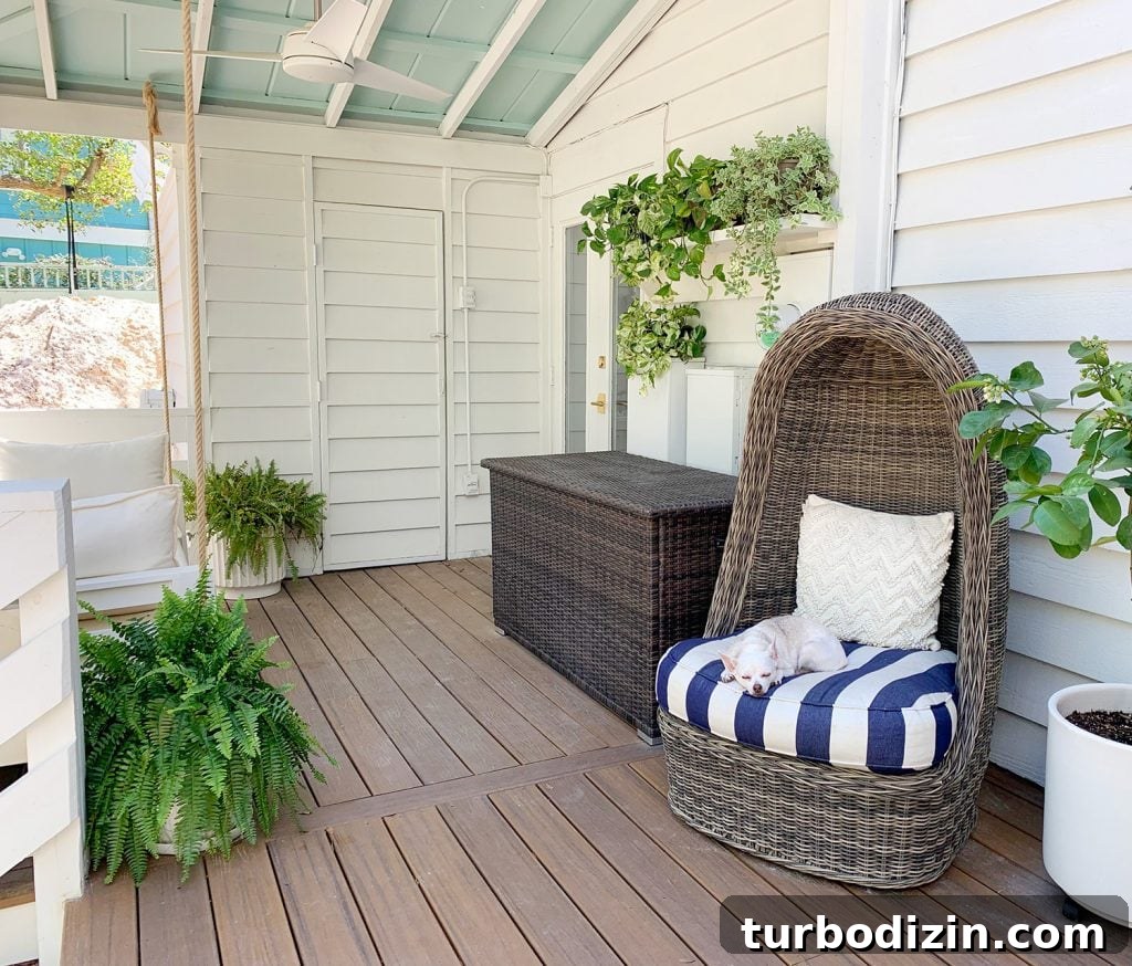 Full View Of Covered Porch With Plants Everywhere And Dog Sleeping In Egg Chair