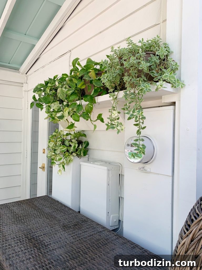 Closer View Of Plant Shelf With Foliage Covering Electrical Panel Boxes Painted White