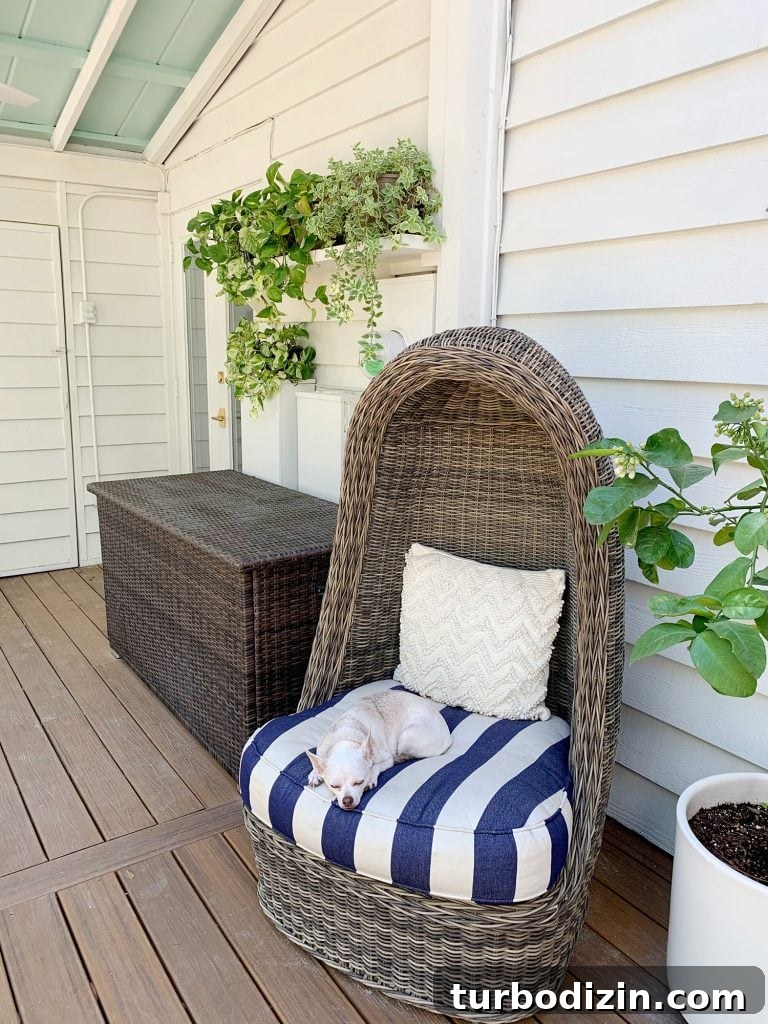 View Of Outdoor Porch With Egg Chair In Foreground And Plant Shelf In Background