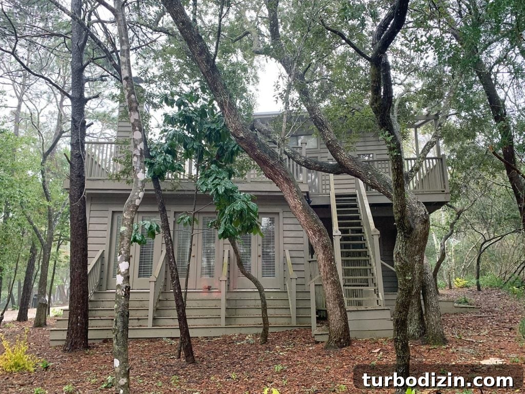 Before and After Home Photos: 14 Months of Renovation Progress 5 img 97039 4