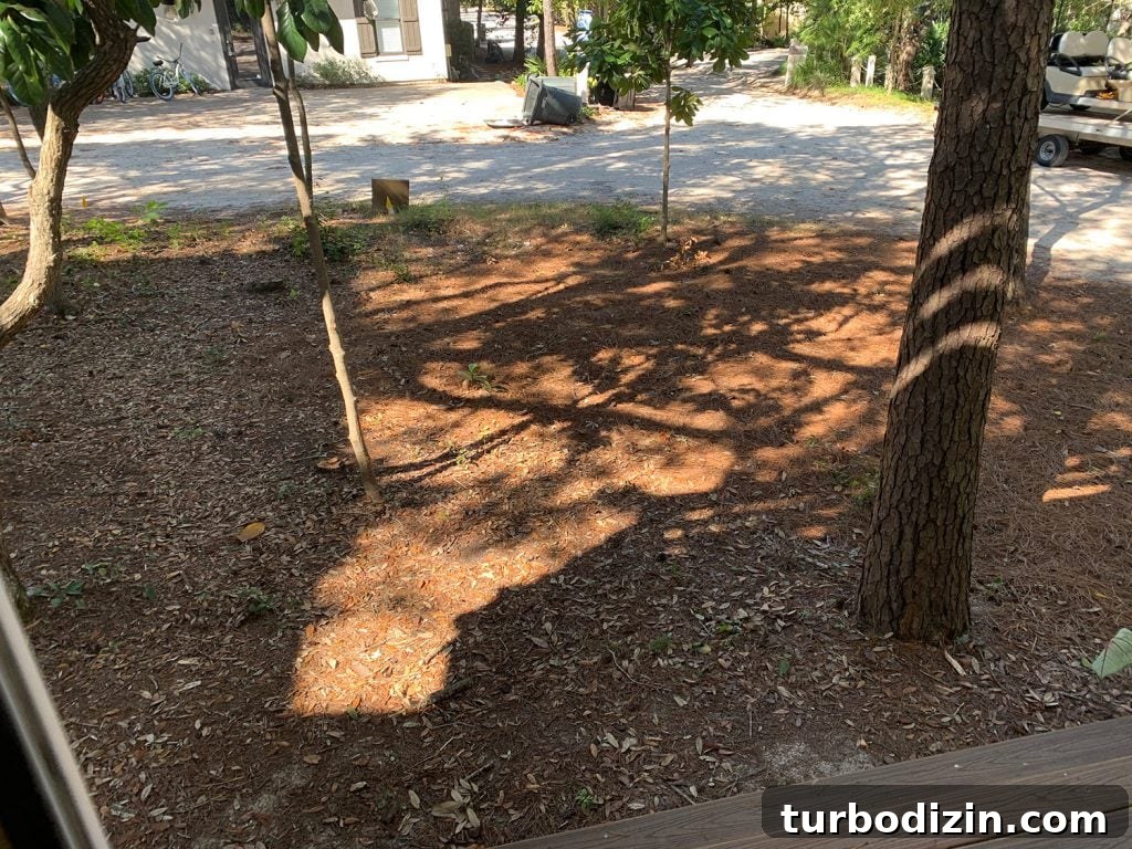 Before and After Home Photos: 14 Months of Renovation Progress 45 img 97039 44