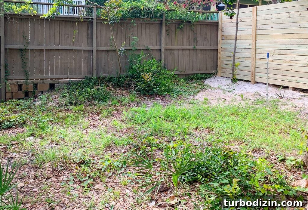 Before and After Home Photos: 14 Months of Renovation Progress 49 img 97039 48