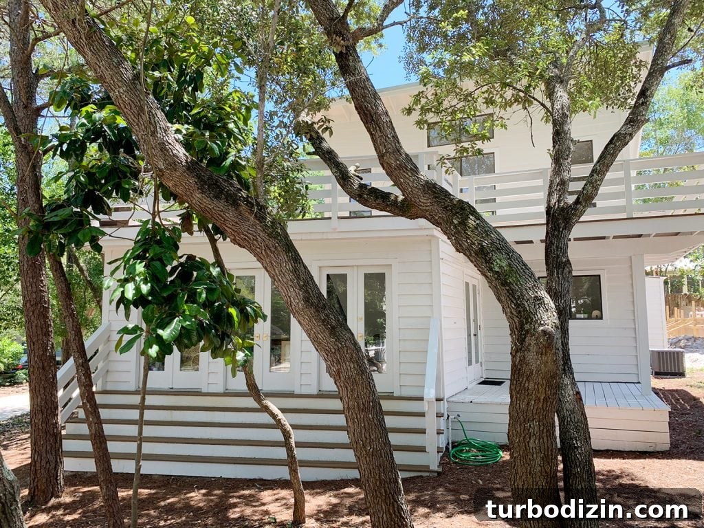 Before and After Home Photos: 14 Months of Renovation Progress 6 img 97039 5