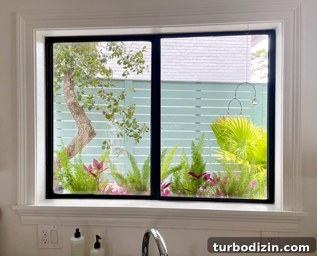 9 Smart Small Kitchen Ideas to Maximize Space and Style 8 View Through Kitchen Window With Window Box And Tropical Plants