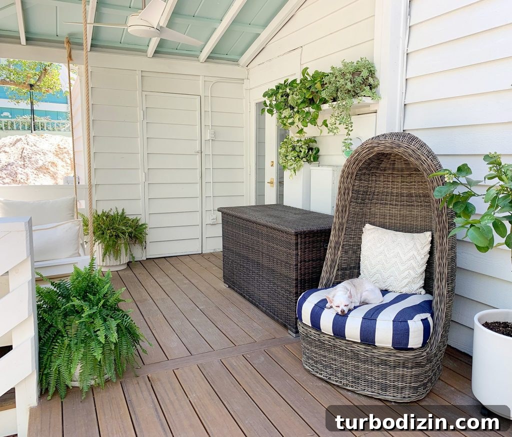 7 Stylish Storage Furniture Pieces for Small Spaces 9 Full View Of Covered Porch With Plants Everywhere And Dog Sleeping In Egg Chair
