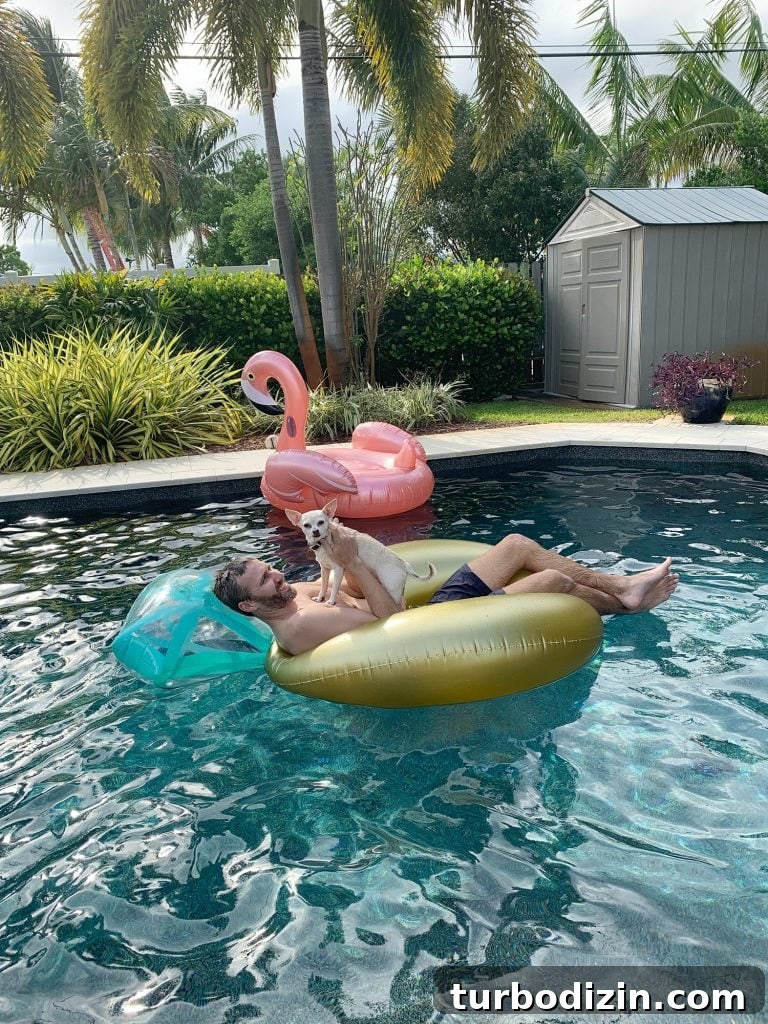 Celebrating the Classic Burger: History, Recipes, and Icons 11 John in pool float with Burger on chest with flamingo float in background