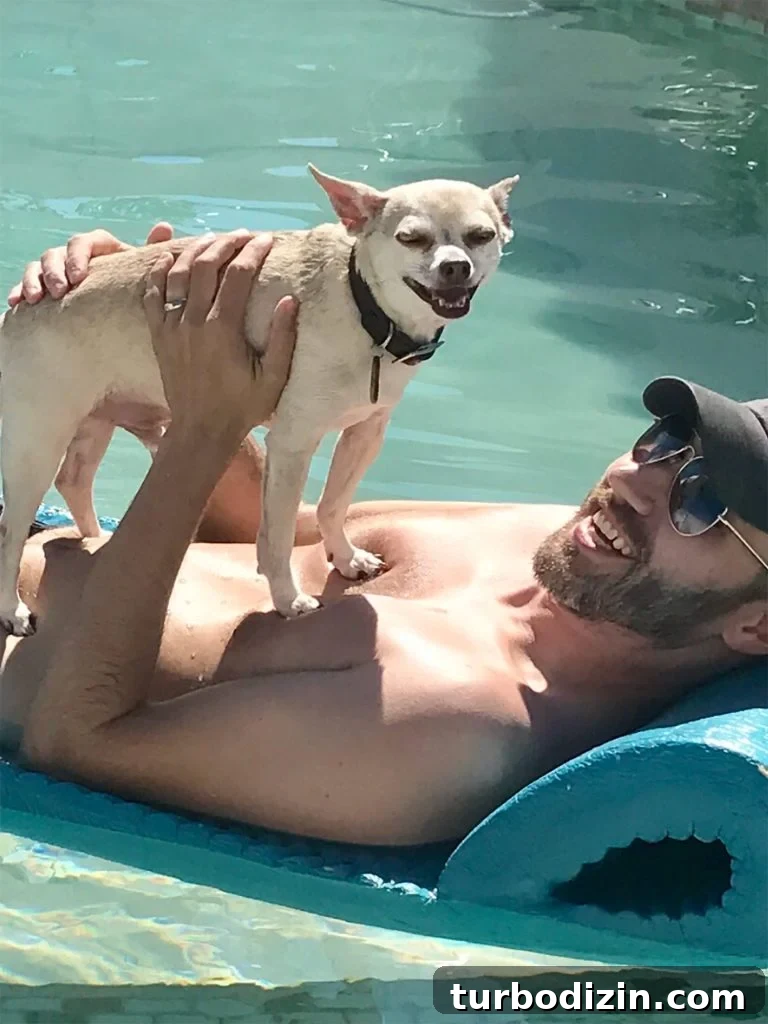 Celebrating the Classic Burger: History, Recipes, and Icons 13 Zoom in on Burger's smiley face in pool float
