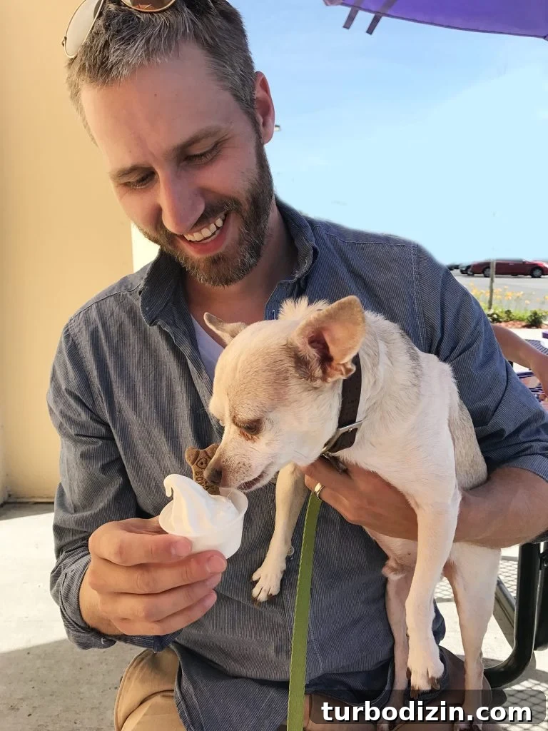 Celebrating the Classic Burger: History, Recipes, and Icons 9 Burger licking ice cream pup cup in John's arms