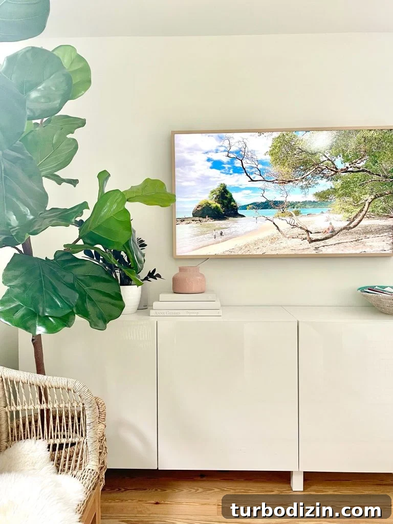 Family Room That Doubles as Office, Art Studio, and Home Theater 2 Samsung Frame TV Over Ikea Besta Console In Modern Family Room With Faux Fig Tree