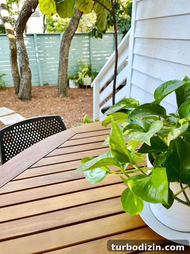 Transforming Our Kitchen Porch into a Cozy Dining Nook 15 Detail of wood table and potted pothos plant