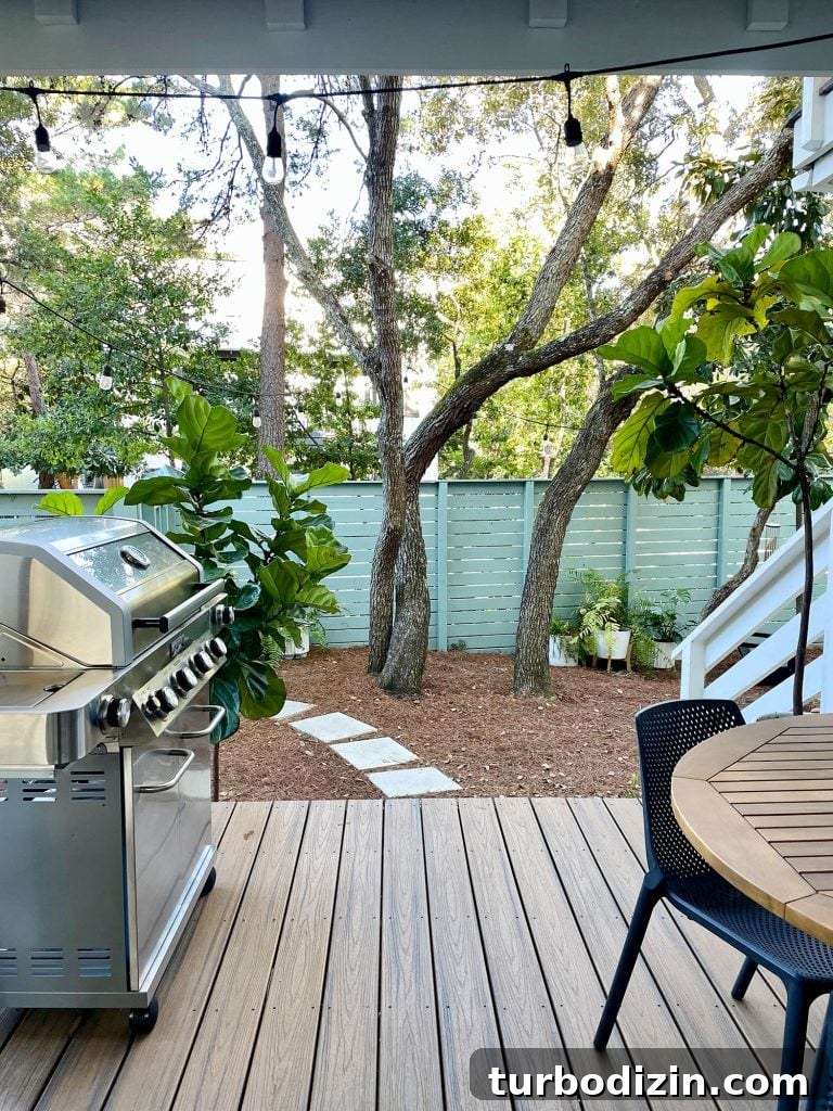 Transforming Our Kitchen Porch into a Cozy Dining Nook 17 Vertical view from cover patio with grill and table overlooking greenery in yard