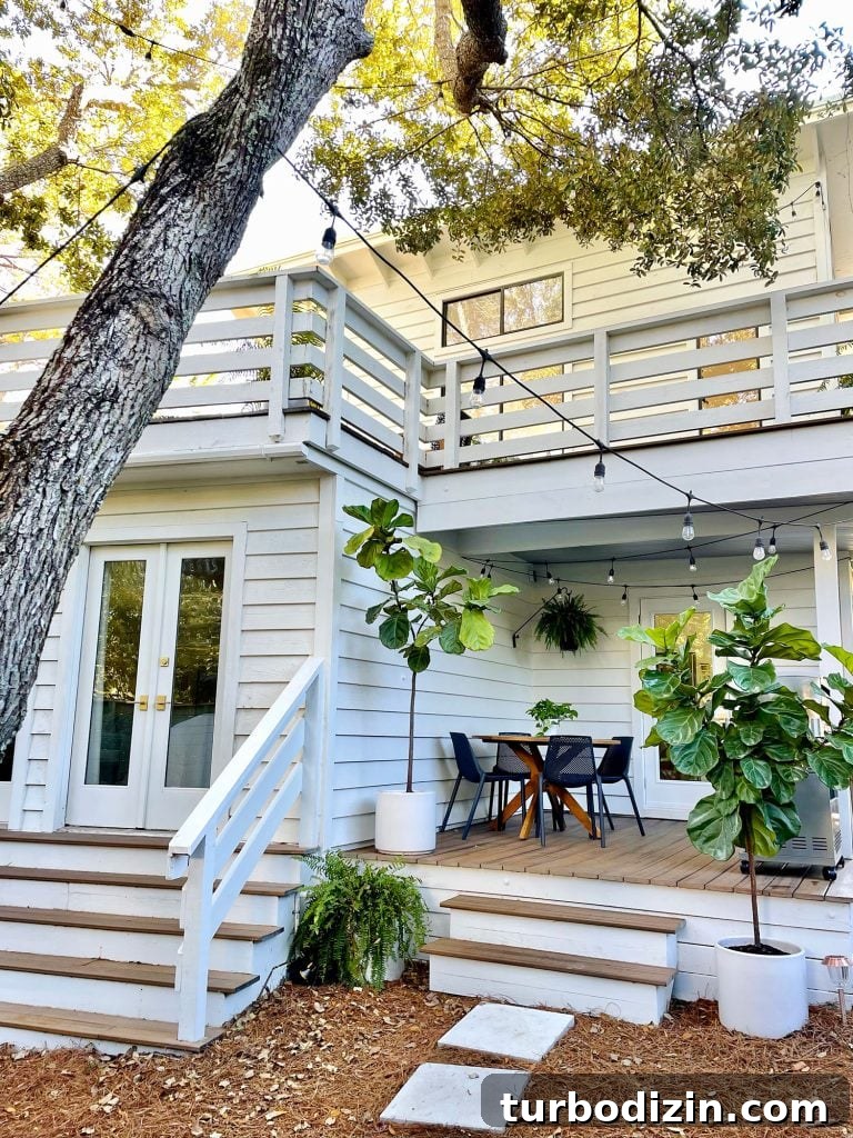 Transforming Our Kitchen Porch into a Cozy Dining Nook 19 View of side porch with large oak tree in foreground with white house string lights and fig trees