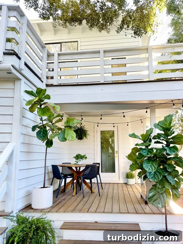 Transforming Our Kitchen Porch into a Cozy Dining Nook 6 After photo from same view with white house string lights and fig trees