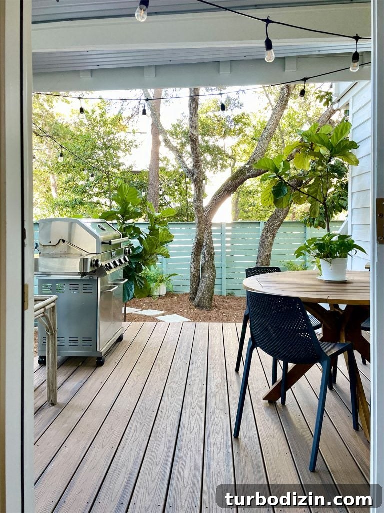 Transforming Our Kitchen Porch into a Cozy Dining Nook 10 View through kitchen door of covered kitchen porch with table and grill