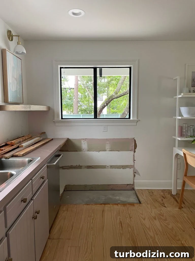 How to Add a Door to Your Kitchen: Design, Installation & Tips 12 Demo progress photo of kitchen with cabinets knocked out under window