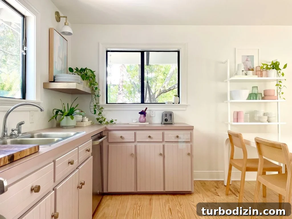 How to Add a Door to Your Kitchen: Design, Installation & Tips 6 Previous view of updated kitchen before new door was added