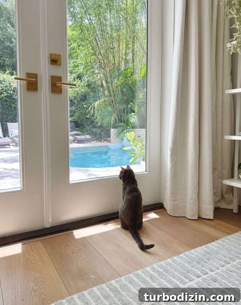 New Flooring FAQ: Answers About Installation, Care and Warranty 9 New Floors By Backdoor With Cat Looking Out At Pool